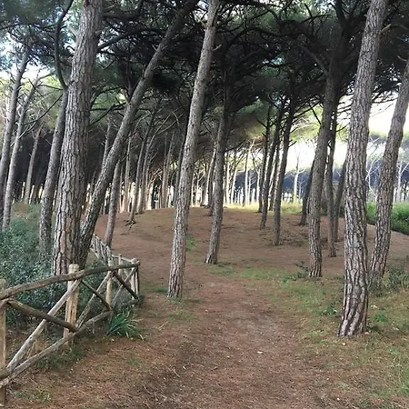 Il Pinolo * Marina di Cecina